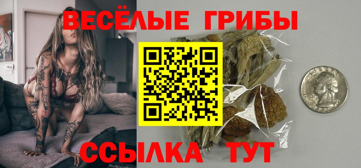 Галлюциногенные грибы мицелий  Галлюциногенные грибы мицелий  Вход с VPN  Дзержинск 